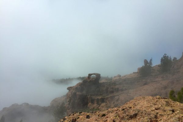 ventana de morro en pico las nieves